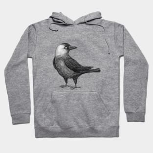 Western jackdaw Hoodie